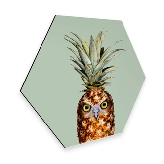 Hexagon alu-dibond Loose - Pineapple Owl 