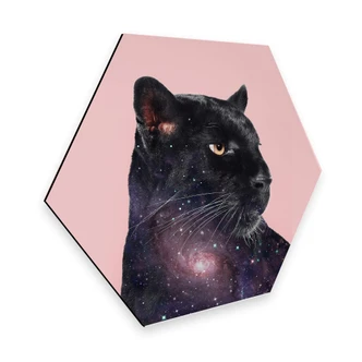 Hexagon - Alu-Dibond Loose – Galaxy Panther 