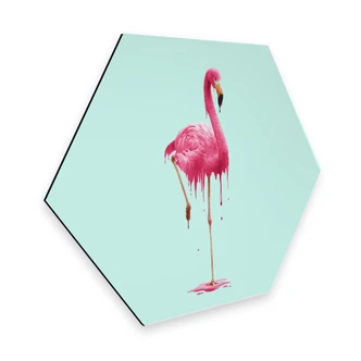 Hexagon - Alu-Dibond Loose - Melting Flamingo 