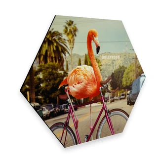 Hexagon alu-dibond Loose - Nothing is impossible 