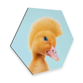 Hexagon - Alu-Dibond Loose - Rebel Duckling 