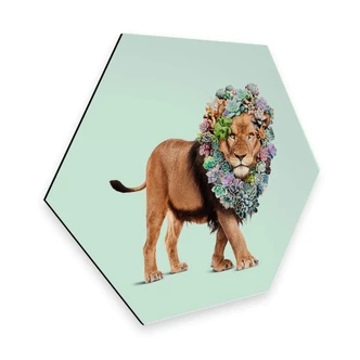 Hexagon Alu-Dibond - Loose - Succulent Lion 