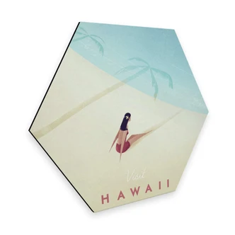 Hexagon - Alu-Dibond Rivers - Hawaii 