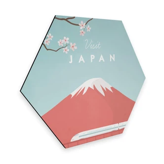 Hexagon Dibond Rivers - Japan 