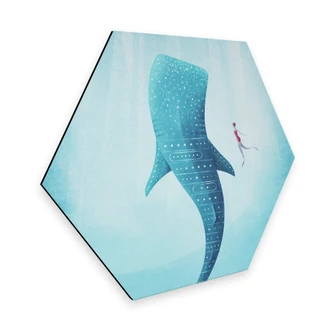 Hexagon alu-dibond Rivers - de Walvishaai 