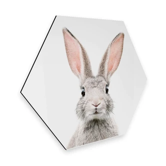 Hexagon Alu-Dibond - Sisi & Seb - Bunny Hexagon Alu-Dibond - Sisi & Seb - Bunny