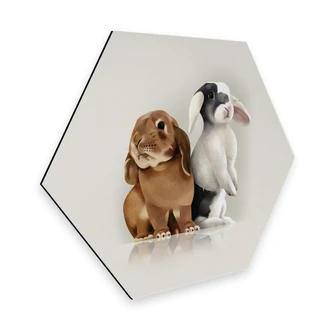 Hexagon Dibond Braun - Bunny Love 