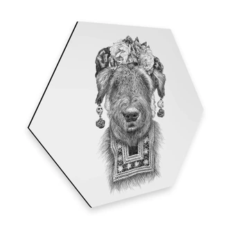 Hexagon - Alu-Dibond Kools - Suusi Kahlo 