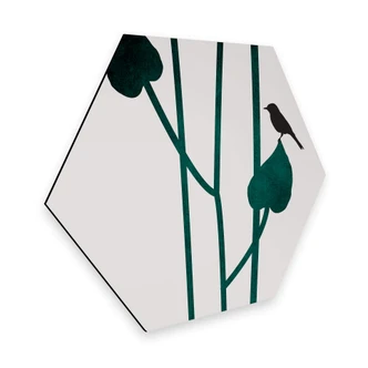 Hexagon Dibond Kubistika - Nature 