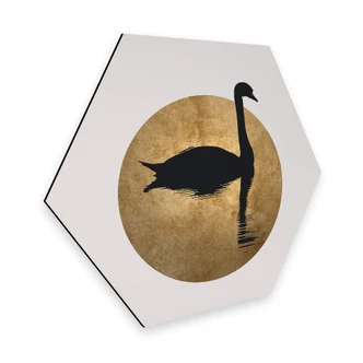 Hexagon Dibond - Kubistika - Zwanenmeer bij Volle Maan 