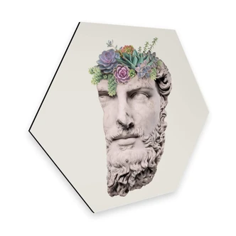 Hexagon Dibond Loose - Succulent Sculpture 