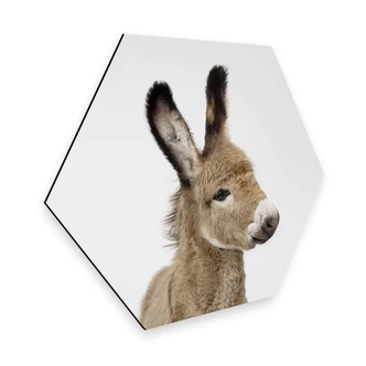 Hexagon Dibond Sisi & Seb - Baby Ezel 