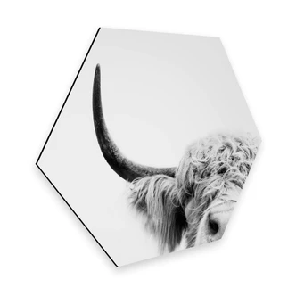 Hexagon Dibond Sisi & Seb - Bull 