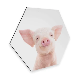 Hexagon Dibond Sisi & Seb - Biggetje 