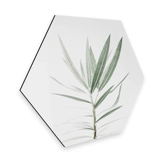 Hexagon - Alu-Dibond Sisi & Seb - Oleander 