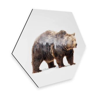 Hexagon - Alu-Dibond - Beáta - Bear 