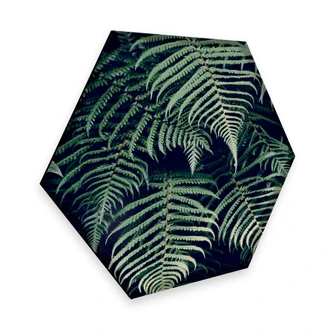 Hexagon - Alu-Dibond - Varen 02 