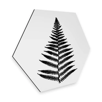 Hexagon Alu-Dibond - Varen 
