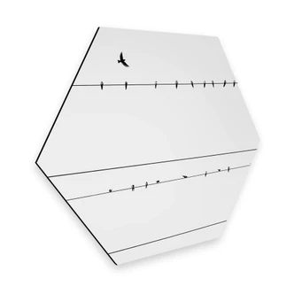 Hexagon - Alu-Dibond - Hoogspanning 