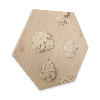 Hexagone - Bois 1X Studio - Sur la plage 