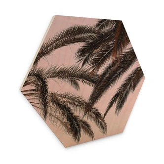 Hexagon - Holz 1X Studio - Palmen 