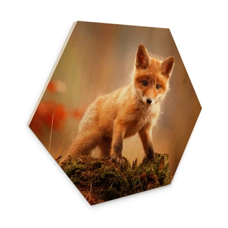 Hexagon - Holz Adamec - Junger Fuchs im Wald 