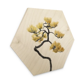 Hexagone - Bois 