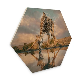 Zeshoekige houten afbeelding van een giraffe in het wild - Amtmann Zeshoekige houten afbeelding van een giraffe in het wild - Amtmann