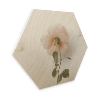 Hexagon Hout Annie - The Rose 