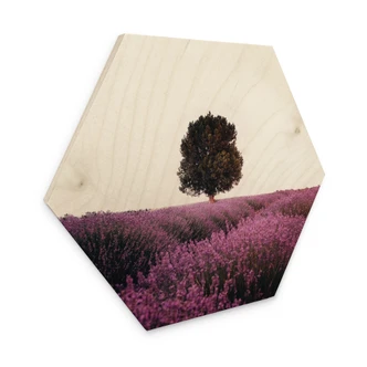Hexagone - Bois Champs de lavande mauves au coucher du soleil - Cevik 