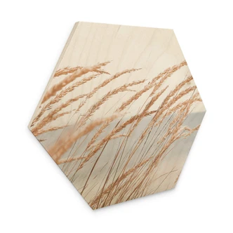 Hexagon Holzbild Dünengras 