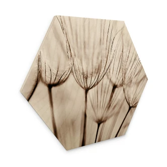 Hexagon Holzbild Fliegerschirmchen 