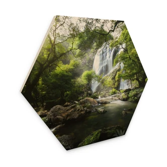 Hexagone - Bois Cascade dans la forêt 