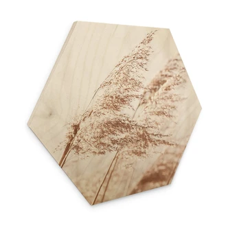Hexagon - Holz Gräser im Wind 