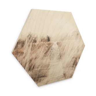 Hexagone - Bois Paysage de rêve avec passerelle en bois 