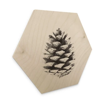 Hexagon Hout Dennenappels 