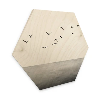 Hexagon Hout Kubistika - Open Lake 