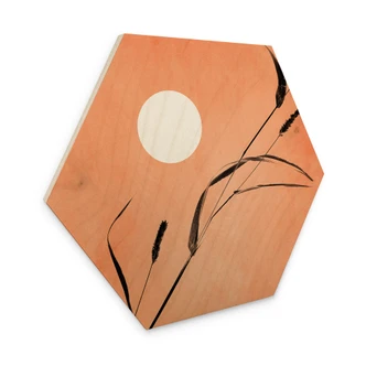 Sekskantet træ Siv i ferskenfarvet solskin - Kubistika Sekskantet træ Siv i ferskenfarvet solskin - Kubistika