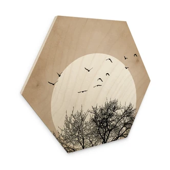 Hexagon - Holz Kubistika - Wintertraum 