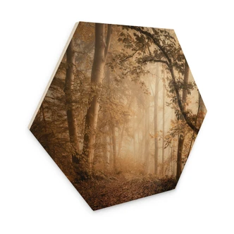 Hexagone - Bois Forêt dans la brume du matin - Maier 