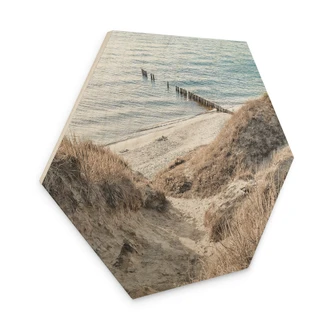 Hexagone - Bois Découverte de la nature dans les pittoresques dunes de la Baltique 