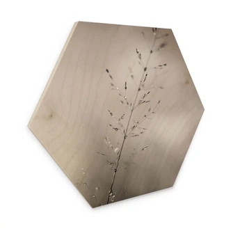 Sekskantet Billede af træ græsstrå med dugdråber - Sillen 