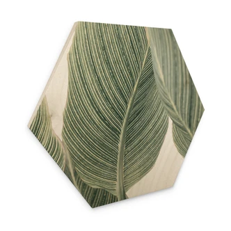 Hexagon-Holzbild Calathea Pflanze - Sisi & Seb 