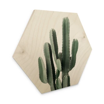 Hexagon-Holzbild Kaktus Pflanze - Sisi & Seb 