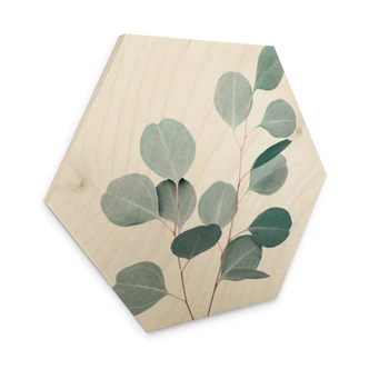 Hexagon Hout Sisi & Seb - Blue Eucalyptus 