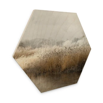 Hexagone - Bois Talen - Matin hivernal 