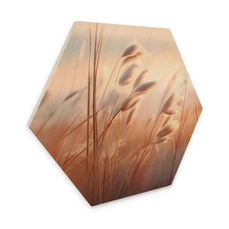 Hexagon Holzbild Dünengras in der Abendsonne - Treechild 