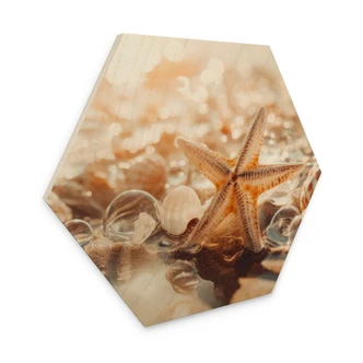 Tableau sur bois hexagonal coquillages sur une plage ensoleillée - Treechild 