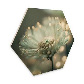 Sekskantet billede af træ Delikat gnistrende blomster - Treechild 