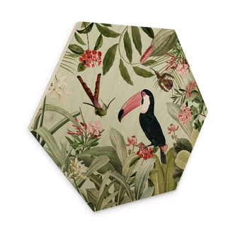 Hexagone - Bois Toucan dans une jungle paradisiaque - UN Designs 